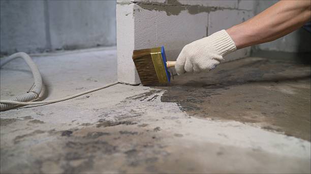 Top rated local Basement Waterproofing specialists in New Castle, IN